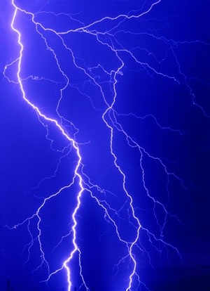 KMO 억제제가 과도한 전기적 또는 화학적 자극으로 인한 손상, 즉 흥분독성 세포사로부터 세포를 보호할 수 있기를 바라.