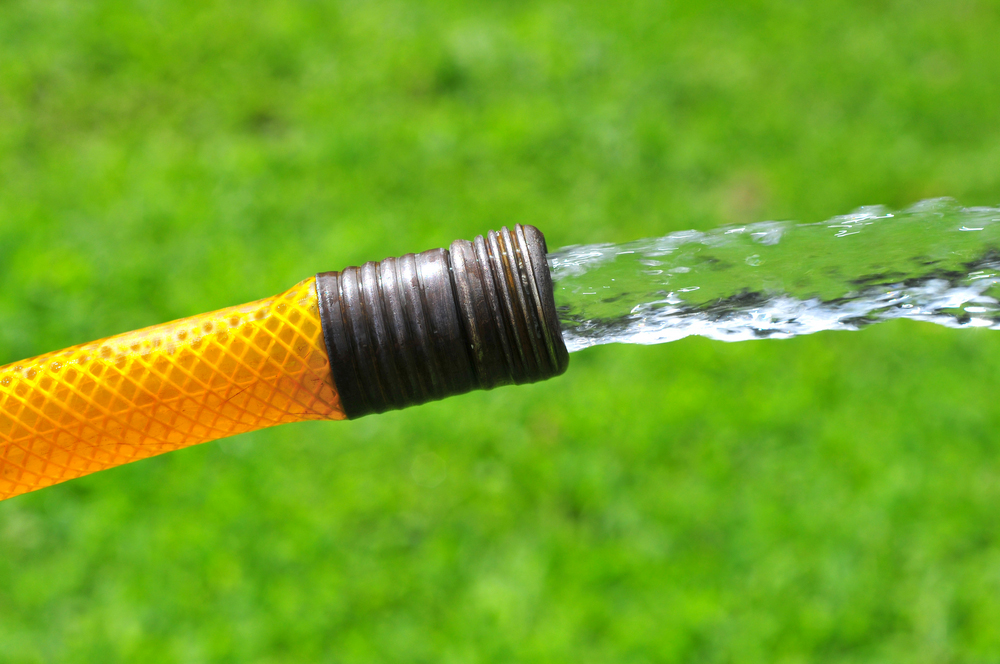 HD '파이프라인'에는 모든 개발 단계에 걸쳐 많은 잠재적 치료법이 포함되어 있다.