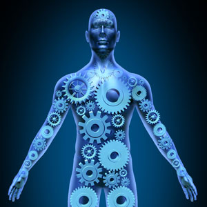 돌연변이 헌팅틴 단백질은 몸 전체에서 생성돼. 특이하게도 GW는 뇌 외부의 면역 체계를 표적으로 삼아 HD 쥐에게서 작용하는 것으로 보여.