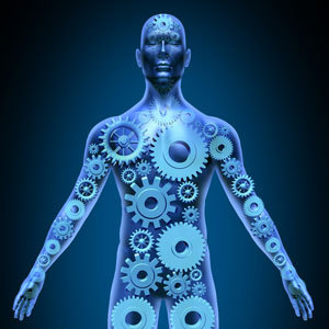 돌연변이 헌팅틴 단백질은 뇌뿐만 아니라 전신에서 생성된다. 점점 더 많은 과학자들이 헌팅턴병을 연구하고 심지어 치료하기 위해 뇌 외부를 주목하고 있다.