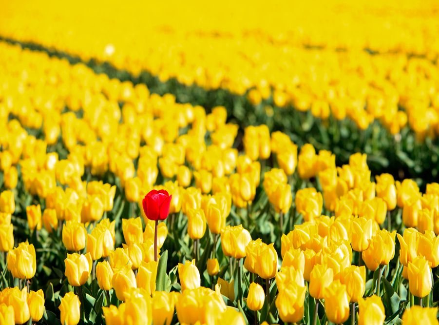 새로운 검사는 이전에 정확한 검사 결과를 얻기 위해 더 긴 2단계 과정이 필요했던 소수의 사람들에게 미래에 상황을 개선할 수 있습니다.