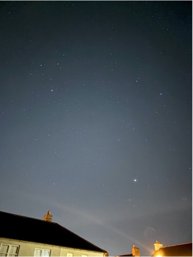 헌팅턴병을 앓고 있는 각 개인은 하늘의 별처럼 자신만의 고유한 방식으로 빛나며, 오직 그들만이 할 수 있는 방식으로 세상에 빛을 더합니다. 