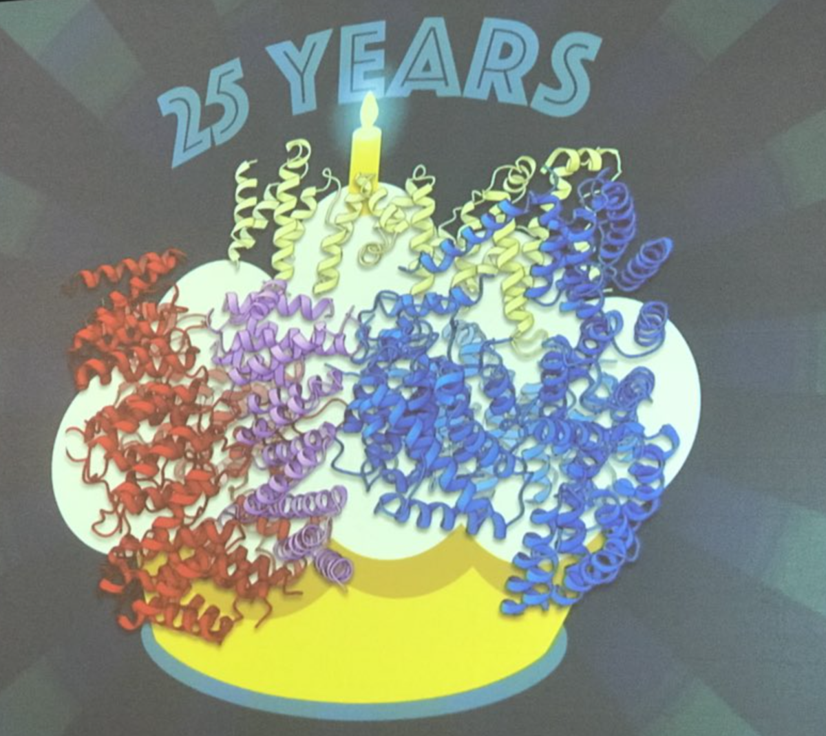 Kochanek 박사는 HD 유전자의 발견 25주년을 기념하는 의미로 2월 HD 치료학 컨퍼런스에서 헌팅틴 단백질 (구불 구불 한 리본 형태)의 구조를 공개했습니다.  
