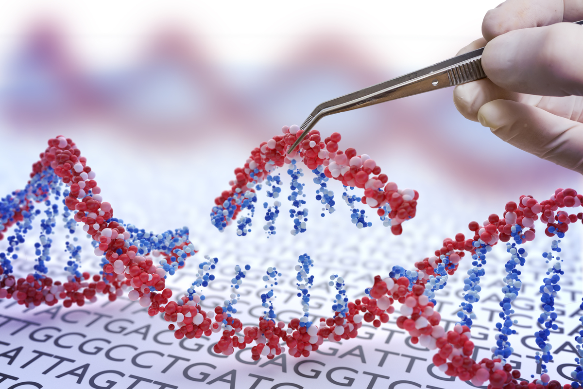 CRISPR은 과학자들이 DNA 서열의 영역을 정확하게 변경할 수 있도록 하는 유전자 편집 기술입니다. 이 연구의 과학자들은 CRISPR을 사용하여 HD 마우스 모델에서 증상을 개선한 Huntingtin 유전자의 두 복사본을 모두 침묵시켰습니다.  