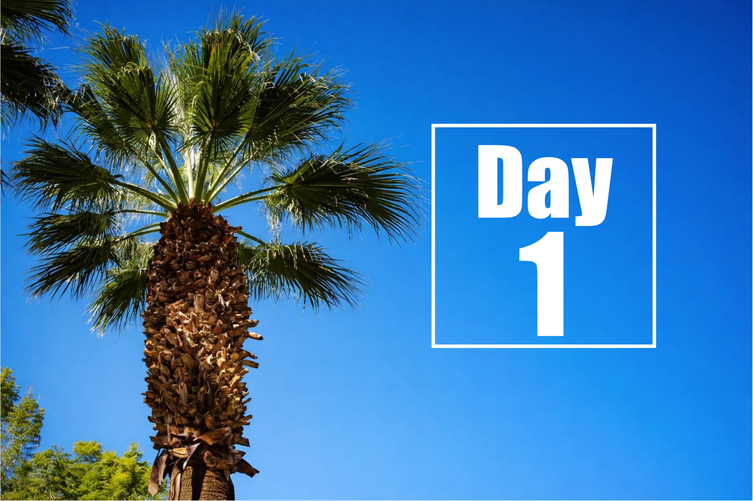 헌팅턴병 치료제 컨퍼런스 2026 – 1일차