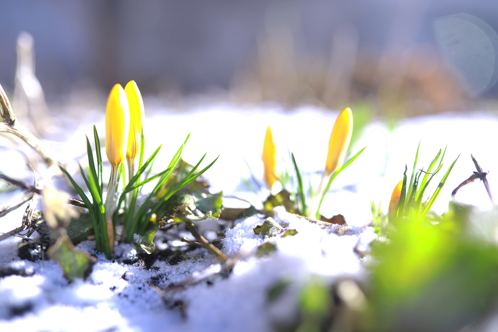 2026년 3월: 이번 달 헌팅턴병 연구